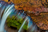 Colorful cascade on Oberlin Creek in Glacier National Park, Montana, USA (Large format sizes available)
