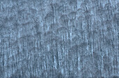 USA, Bundesstaat New York. Berghang mit Winterbäumen.