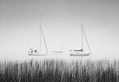 USA, Bundesstaat New York. Drei Segelboote, St. Lawrence River, Thousand Islands.