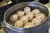 Korean mandu dumpling, New York City, NY, USA.