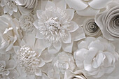 Variety of white flower designs made from cut paper. New York City, New York, USA