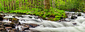 USA, North Carolina, Great Smoky Mountains National Park, Panoramic view of water flowing at Straight Fork near Cherokee