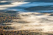 Blick von oben auf ein nebelgefülltes Tal mit aufstrebenden Bäumen bei Sonnenaufgang, vom Pounding Mill Overlook, Blue Ridge Parkway, Pisgah, National Forest bei Brevard, North Carolina