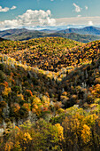 Blick auf die Herbstfarben vom Grassy Ridge Overlook, Pisgah National Forest bei Brevard, North Carolina