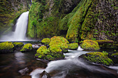 Wahclella Falls entlang des Tanner Creek, Columbia River Gorge, Oregon