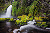 Wahclella Falls along Tanner Creek, Columbia River Gorge, Oregon