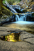USA, Oregon, Florenz. Wasserfall im Bach