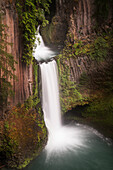 USA, Oregon. Toketee Falls fließt über säulenförmige Basaltfelsen