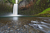 USA, Oregon. Abiqua Falls plunges into large pool