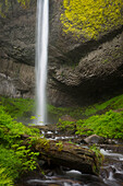 USA, Oregon, Columbia River Gorge. Landschaft der Latourell Falls