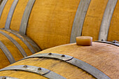 USA, Oregon, Elk Cove Winery. Oak barrels close-up
