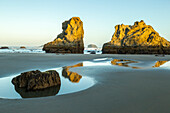 USA, Oregon, Bandon Beach, sunrise, low tide