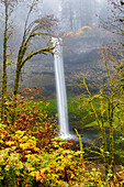 USA, Oregon, Silver Falls State Park, South Falls