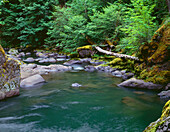 USA, Oregon, Willamette National Forest, Middle Santiam Wilderness, Tiefes, grünes Becken am Middle Santiam River und üppige Vegetation in der Umgebung.