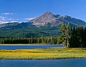 USA, Oregon, Deschutes National Forest, Blättrige Arnika blüht auf einer Insel im Sparks Lake, während sich in der Ferne Broken Top erhebt.