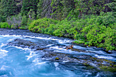 USA, Oregon, Deschutes National Forest, Wizard Falls und Sommervegetation entlang des Metolius River, einem von der Regierung als wild und landschaftlich reizvoll eingestuften Fluss.