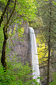 Oregon, Columbia River Gorge National Scenic Area, Latourell Falls