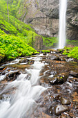 Oregon, Columbia River Gorge National Scenic Area, Latourell Creek und Wasserfälle