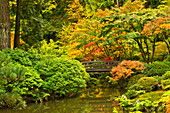 Herbst, Mondbrücke, Portland Japanischer Garten, Portland, Oregon, Usa