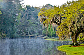 USA, North Carolina, Charleston. Middleton Place, early morning mist on the lake