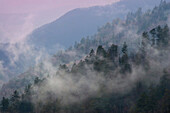 Bergwolken am Newfound Gap, Smoky Mountains National Park, Tennessee, USA