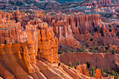 USA, Utah. Bryce Canyon National Park, Hoodoos rise above colorful ridges and valleys and scattered pine trees below Sunset Point.