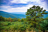 Vista, Shenandoah, Blue Ridge Parkway, Smoky Mountains, USA.
