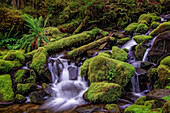 Small stream cascading through moss covered rocks, Hoh Rainforest, Olympic National Park, Washington State