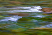 USA, Washington State, Olympic National Park. Skokomish River rapids