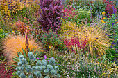 USA, Bundesstaat Washington, Lemolo. Garten im Herbst