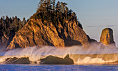 Meeresstapel und Wellen im ersten Licht am Rialto Beach im Olympic National Park, Washington State, USA