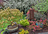 Spring color with 'Welcome' metal sign, Sammamish, Washington State
