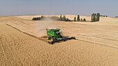 Aerial view of a John Deere combine cutting wheat on a sunny afternoon, Spokane County, Washington State. (PR)
