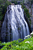 Bundesstaat Washington, Mount Rainier National Park. Narada-Wasserfall