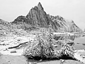 USA, Bundesstaat Washington. Alpine Lakes Wilderness, Enchantment Lakes, schneebedeckte Lärchen, mit Prusik Peak und Gnome Tarn.