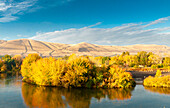 USA, Washington State, Yakima Valley. Fall colors are reflected in the Yakima River with the Rattlesnake Mountains in the background.