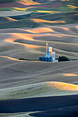 USA, Washington State, Palouse Region, Whitman County Grain Silo's nestled in Harvest Wheat Fields