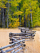 USA, Bundesstaat Washington, North Cascades National Park, Zickzack-Zaun im Herbstfeld