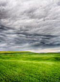 USA, Bundesstaat Washington, Palouse Country, Frühlingsweizenfeld mit aufziehendem Sturm