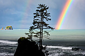 USA, Washington State, Olympic Peninsula. Rainbow over Point of the Arches and Shi Shi Beach.