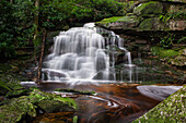 Zweite Ekalaka Falls, Blackwater Falls State Park, West Virginia