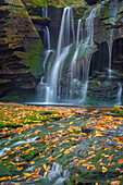 USA, West Virginia, Blackwater Falls State Park. Waterfall scenic