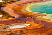 Erhöhte Ansicht von Mustern in der Bakterienmatte um die Grand Prismatic Spring, Midway Geyser Basin, Yellowstone National Park, Wyoming