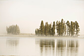 USA, Wyoming, Yellowstone-Nationalpark. Morgennebel entlang des Yellowstone River im Yellowstone National Park
