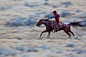 USA, Wyoming, Shell, Cowboy im vollen Galopp beim Reiten durch die Landschaft