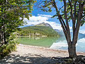 Blick auf das Andengebirge und den Notofagus-Wald am Lago Acigami, Feuerland, Argentinien, Südamerika