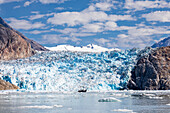 Ice calved from the South Sawyer Glacier in Tracy Arm-Fords Terror Wilderness, Southeast Alaska, United States of America, North America