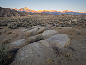 Sonnenaufgang über den östlichen Sierra Nevadas in der Alabama Hills National Scenic Area, Kalifornien, Vereinigte Staaten von Amerika, Nordamerika