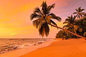Playa Uva, Caribbean, Costa Rica, Central America