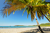 Playa Carrillo, Nicoya Peninsula, Guanacaste, Costa Rica, Central America